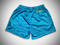 YEAR OF REFLECTION MESH SHORTS