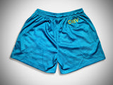 YEAR OF REFLECTION MESH SHORTS